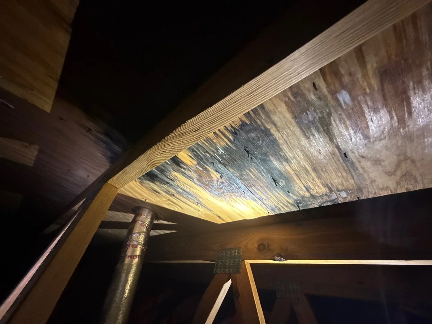 Attic inspection in Davie FL revealing roof leaks not visible from the roof surface